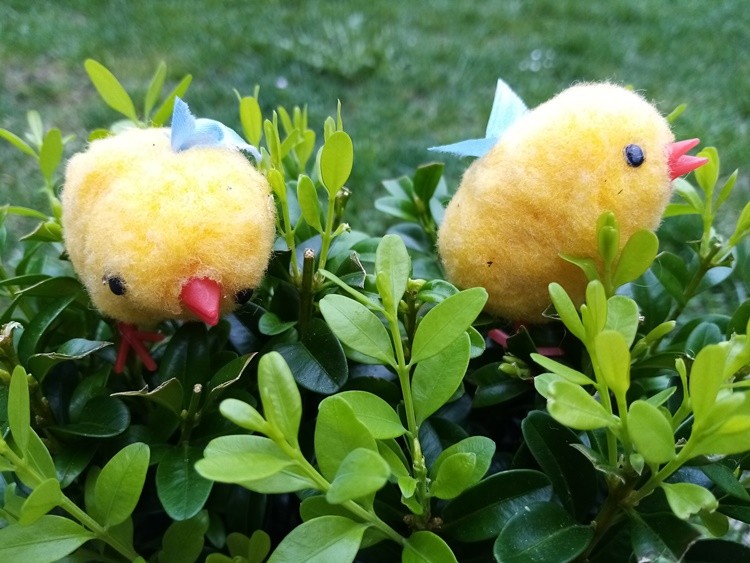 WESOŁYCH ŚWIĄT WIELKANOCNYCH